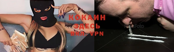дживик Абинск